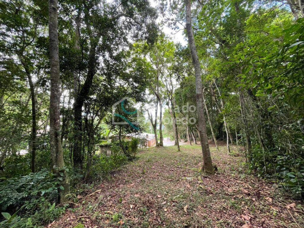 5d1948b7 5737 498b a0d5 2e3bde05289d