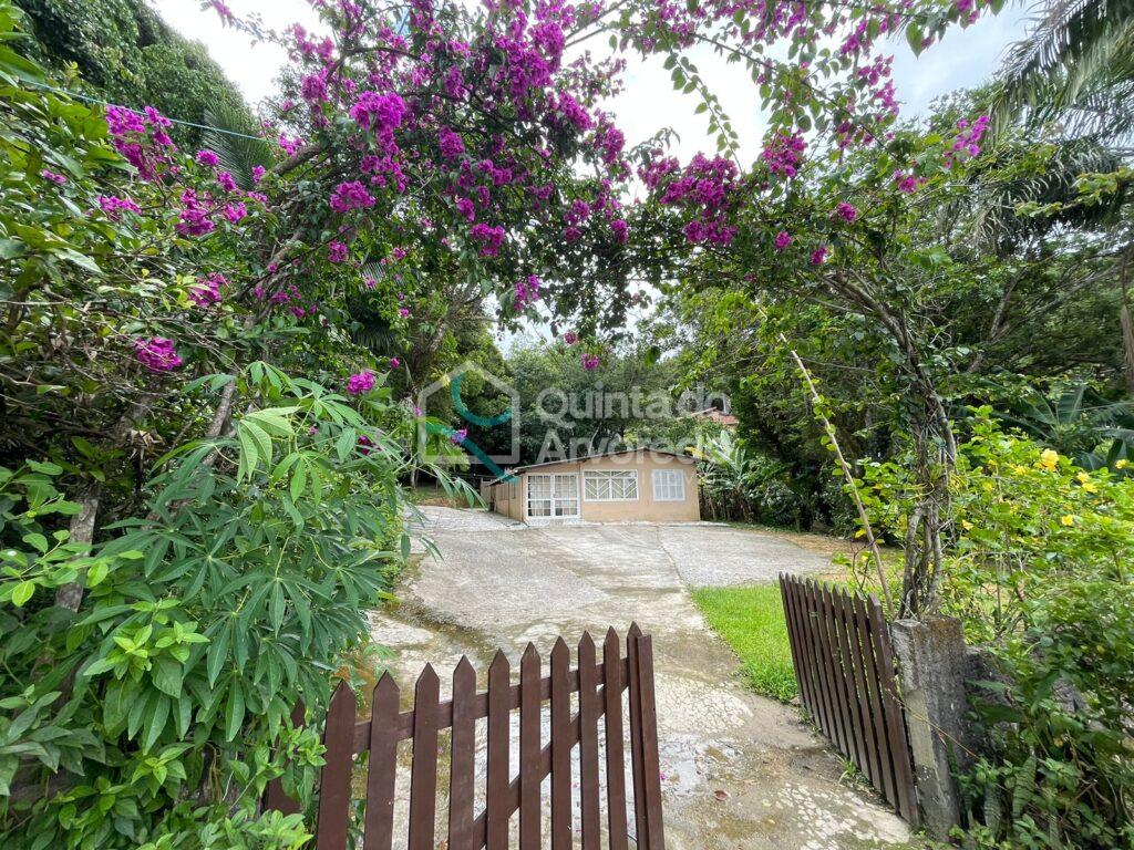 E9a37d19 078c 4b61 a00f 47b6f25956f4