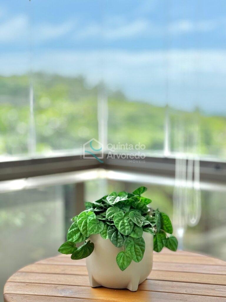 Ca5f9d1d 735e 4562 8330 dd0992908e3e